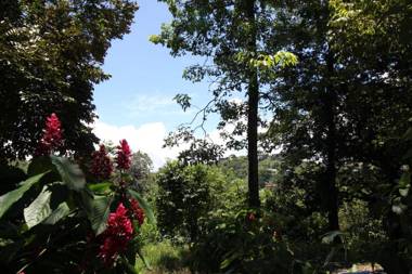 Teva Hotel & Jungle Reserve