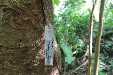 Teva Hotel & Jungle Reserve