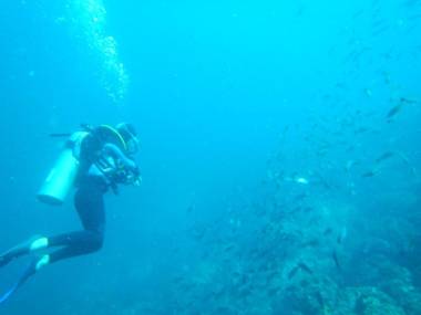 Seahorse Resort Tamarindo