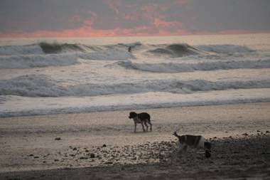 El Gato Rojas Surf Hostel