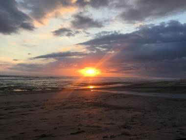 El Gato Rojas Surf Hostel