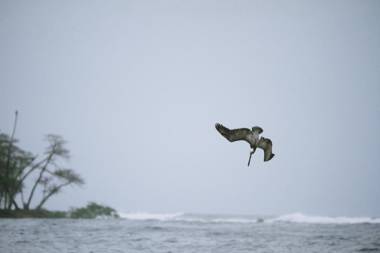 Villa Akari - Brand new 2bedrooms Villa with Pool