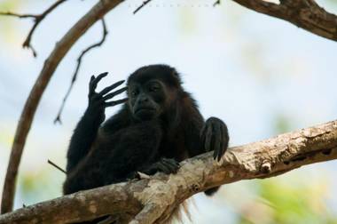 Villa Akari - Brand new 2bedrooms Villa with Pool