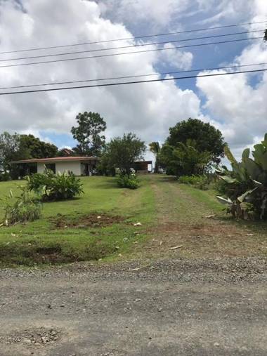 La Piña Rio Celeste