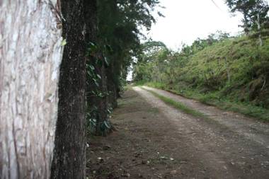 Cabañas Colibrí Tayutic