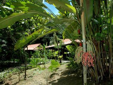 Esquinas Rainforest Lodge