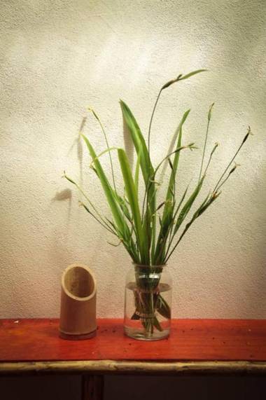 Villa # 3 - High End Studio Apartment