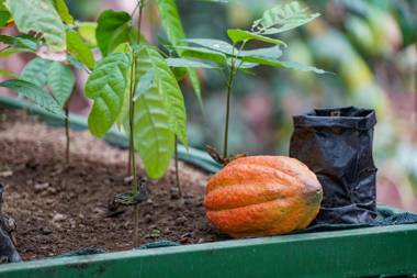 Pie in the Sky 1 Gorgeous Cottage with spectacular scenic views
