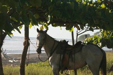 Marbella pool villa 2 bedrooms gated and security