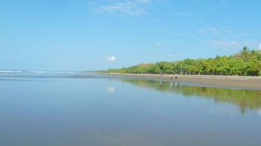 Jardín de los Monos