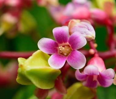Apartamentos Herrera