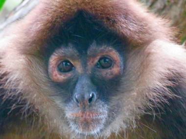 La Palapa Hut Nature Hostel