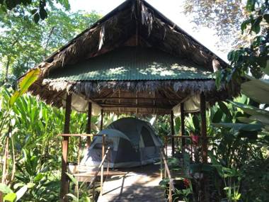 La Palapa Hut Nature Hostel