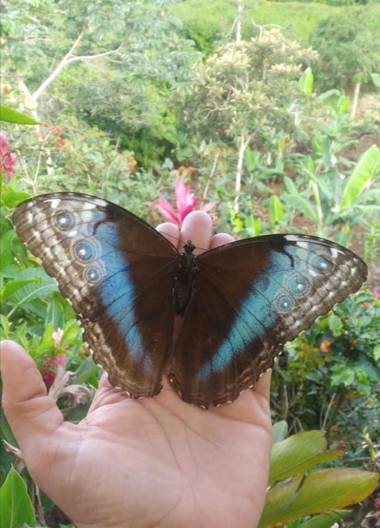 Finca La Puesta del Sol Miramar de Sierpe