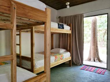 Zeneidas Surf Garden