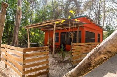 Zeneidas Surf Garden