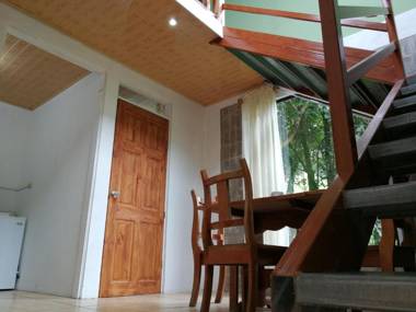 Monteverde Monte Green