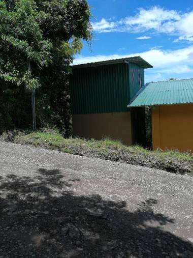 Monteverde Monte Green