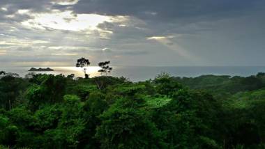 Cristal Ballena Boutique Hotel & Spa