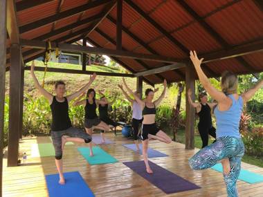 Surf Synergy Surf Camp