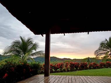 Surf Synergy Surf Camp