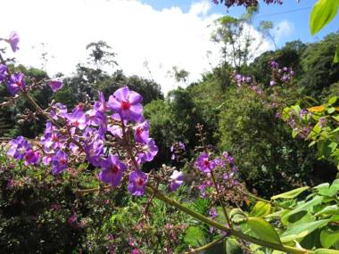 Jardines Secretos Lodge
