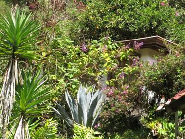 Jardines Secretos Lodge