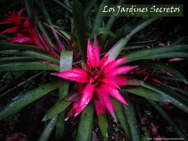 Jardines Secretos Lodge