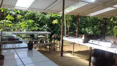 Bolita Rainforest Hostel and Cabinas