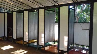 Bolita Rainforest Hostel and Cabinas