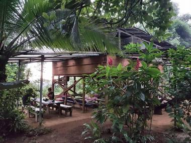 Bolita Rainforest Hostel and Cabinas