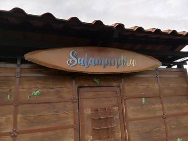 Salamandra Costa Rica