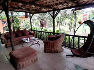 Salamandra Costa Rica