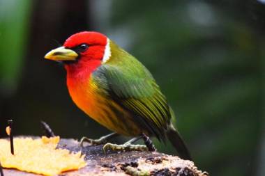 Mirador Valle del General