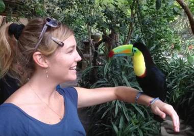 Casa Volcano Panoramic View