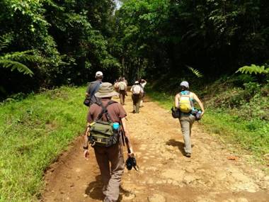 Yatama Rainforest Ecolodge