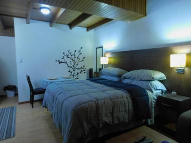 Modern Studio Loft Apt King Bed 10 min frm airport