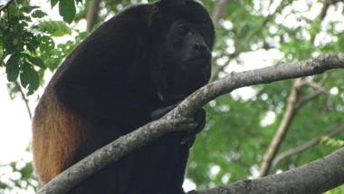 La Colina Pura Vista