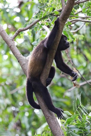 W Costa Rica Resort – Playa Conchal