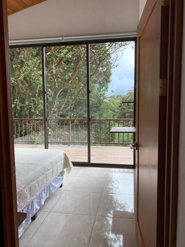 Puma Meraki Mountain View Monteverde