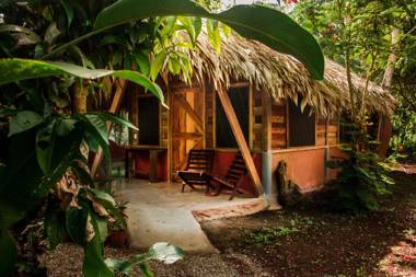 Wildlife Lodge Cahuita