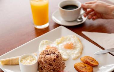 Paradise Flamingo Beach Hotel