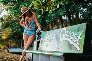 Dolphin Quest Costa Rica