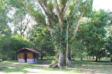 Dolphin Quest Costa Rica