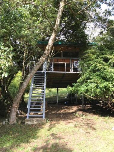 Cabaña treehouse Mountain View