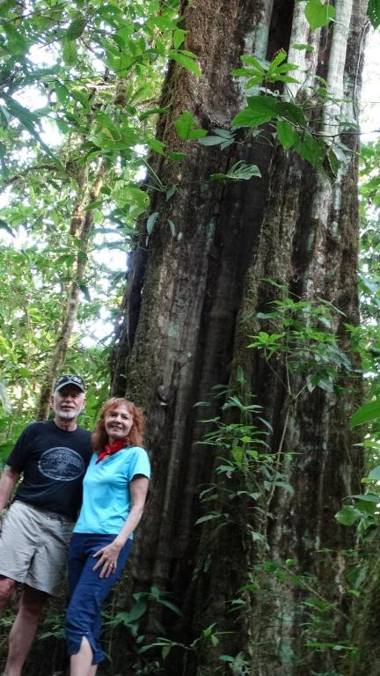 Malekus Mountain Lodge