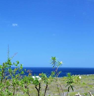 VIP Caribbean Views 300 meters to the Coral Estate beach