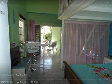 Droomstudio seru coral 32