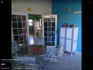 Droomstudio seru coral 32