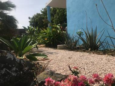 Tropical Breeze Apartments